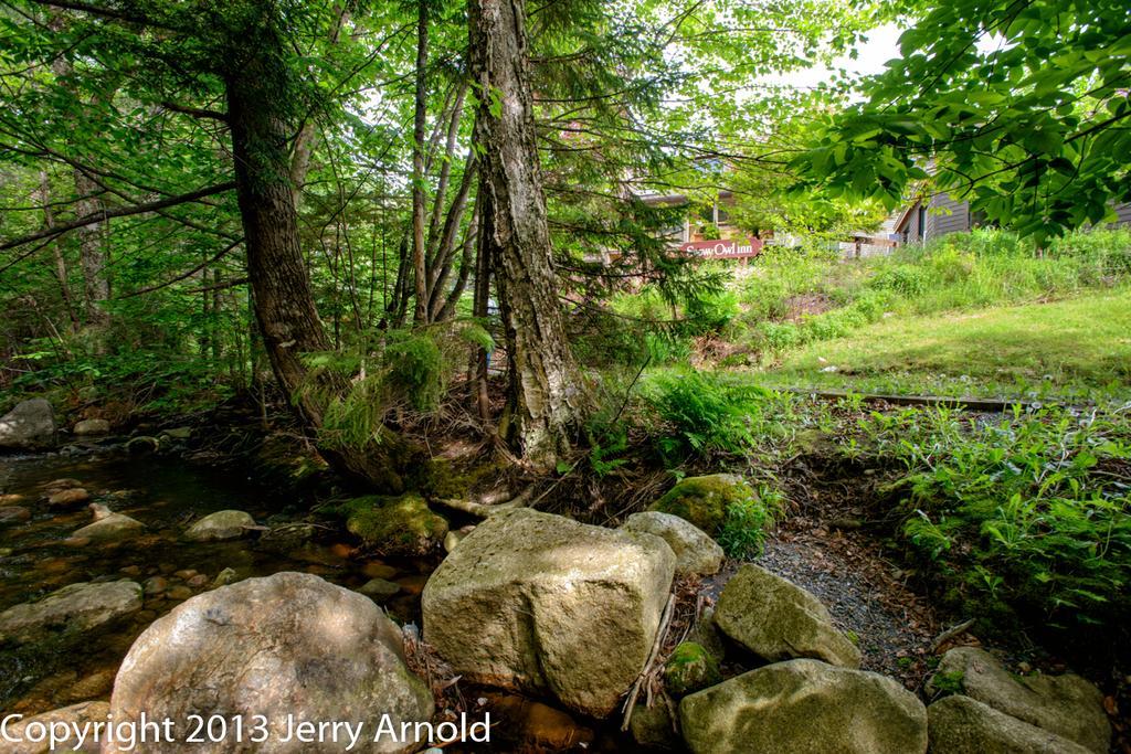 Snowy Owl Inn Waterville Valley Exterior photo
